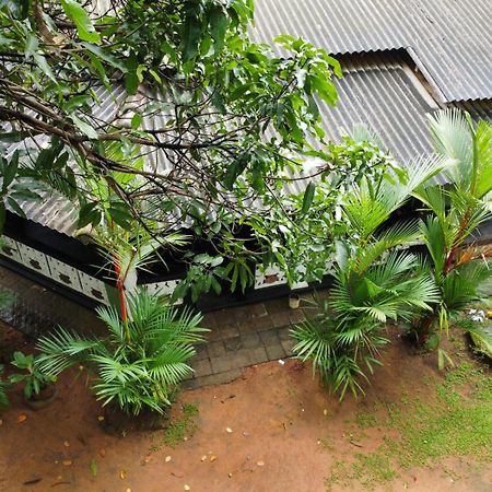 Green Bamboo House Sigiriya Exteriér fotografie