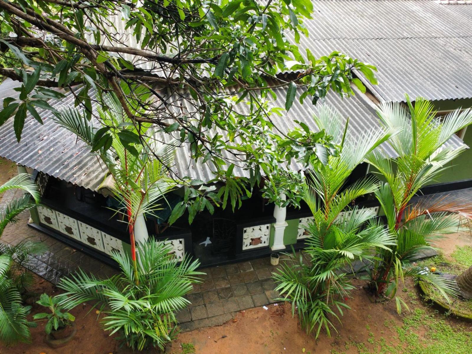 Green Bamboo House Sigiriya Exteriér fotografie