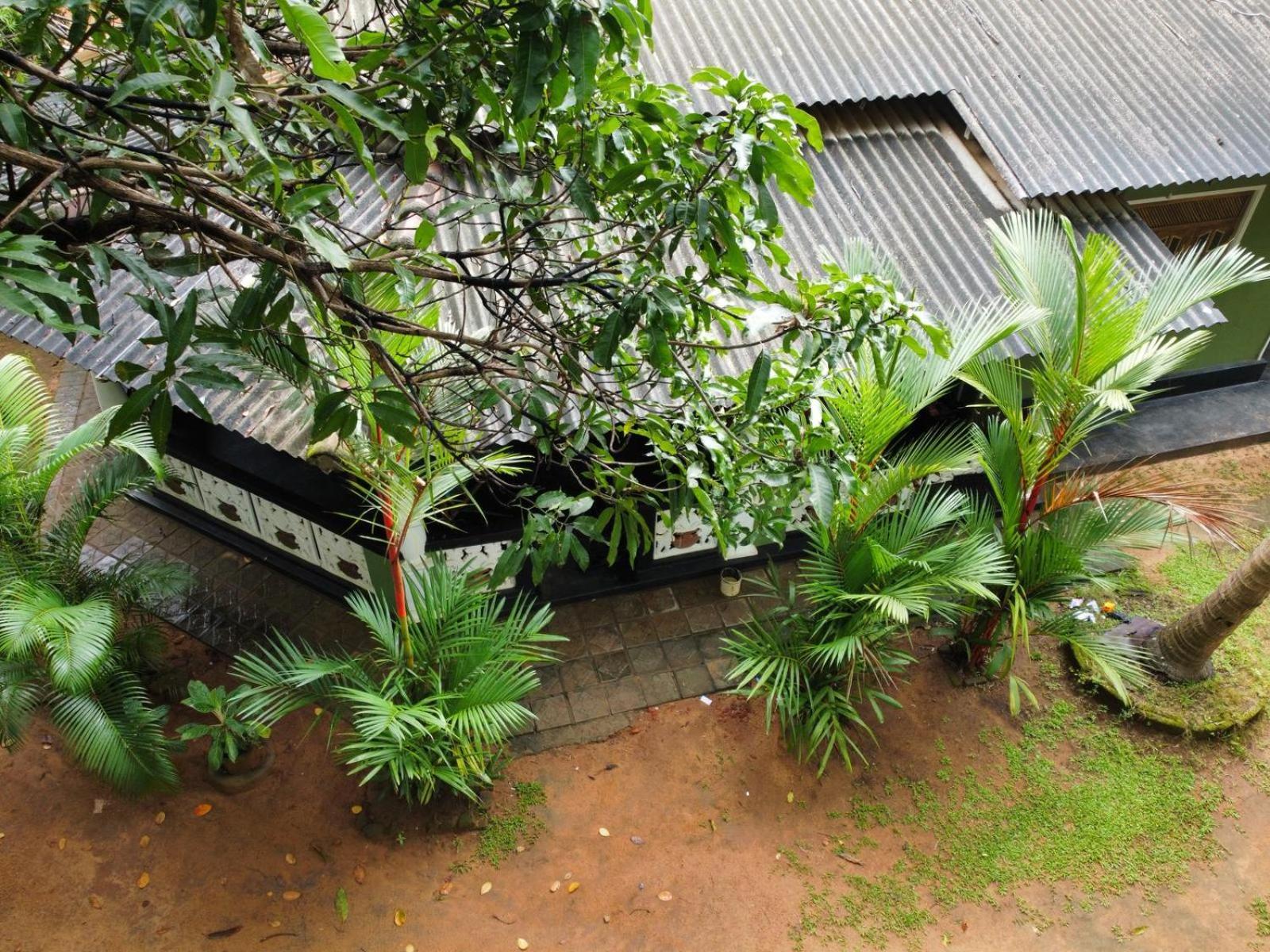 Green Bamboo House Sigiriya Exteriér fotografie
